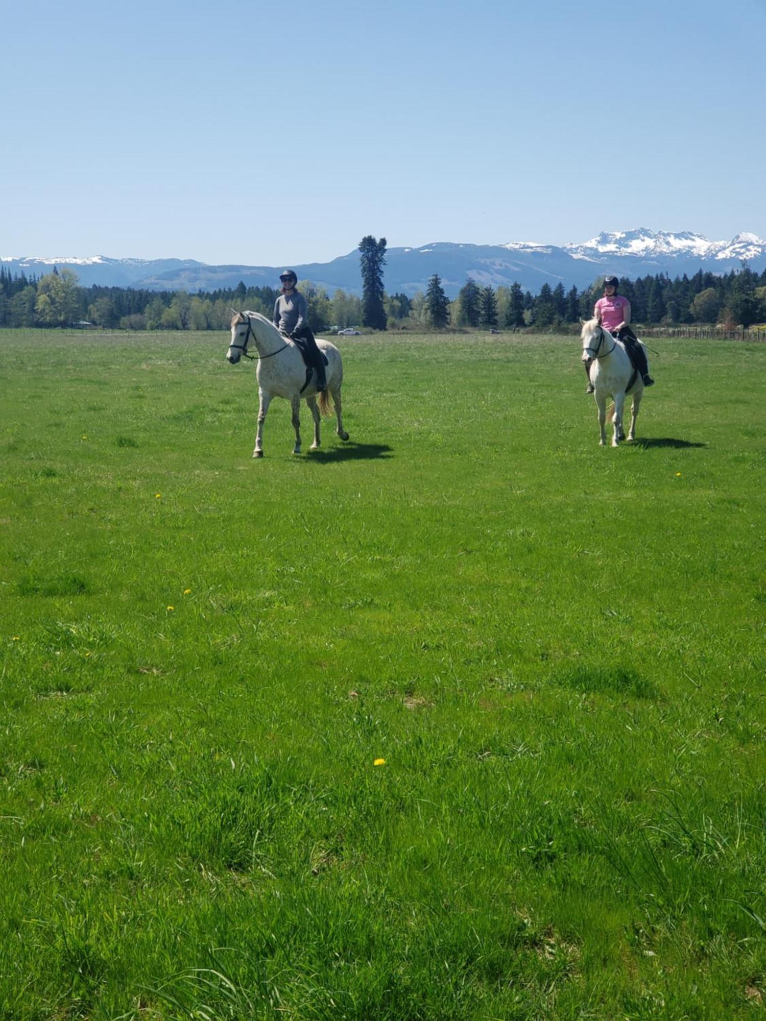 Paradise Acres Ranch Nanoose Bay Esterno foto