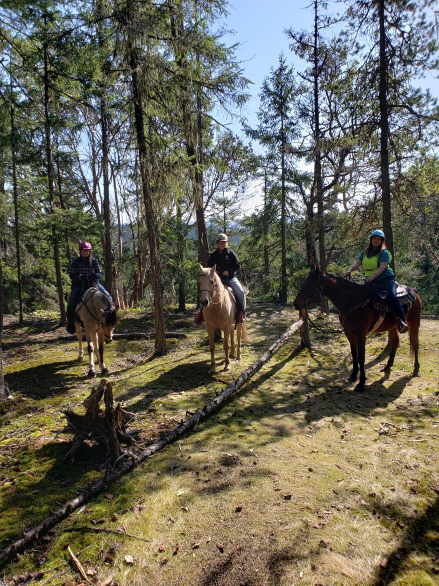 Paradise Acres Ranch Nanoose Bay Esterno foto
