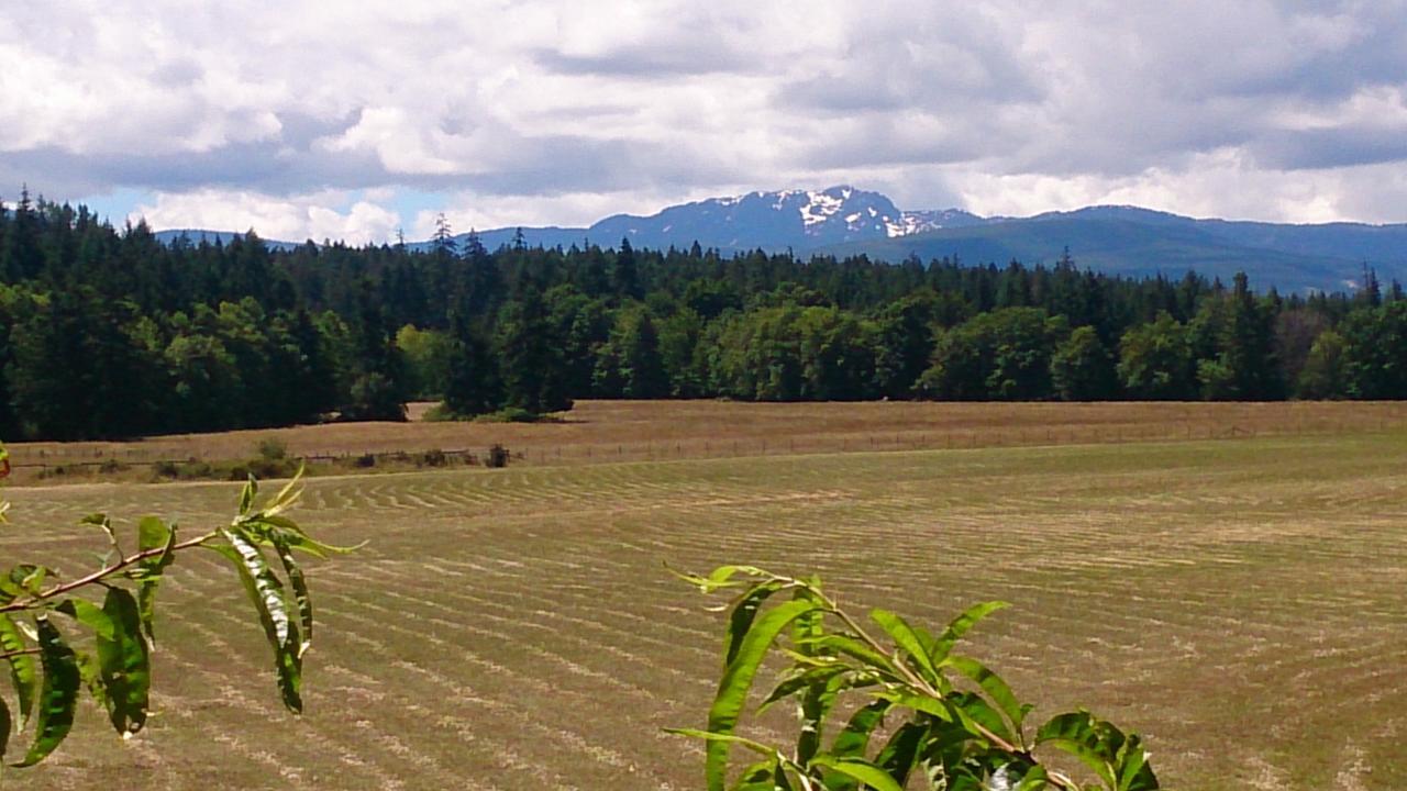 Paradise Acres Ranch Nanoose Bay Esterno foto