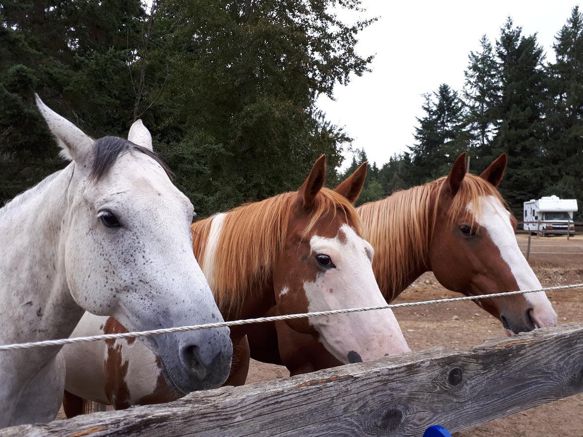 Paradise Acres Ranch Nanoose Bay Esterno foto