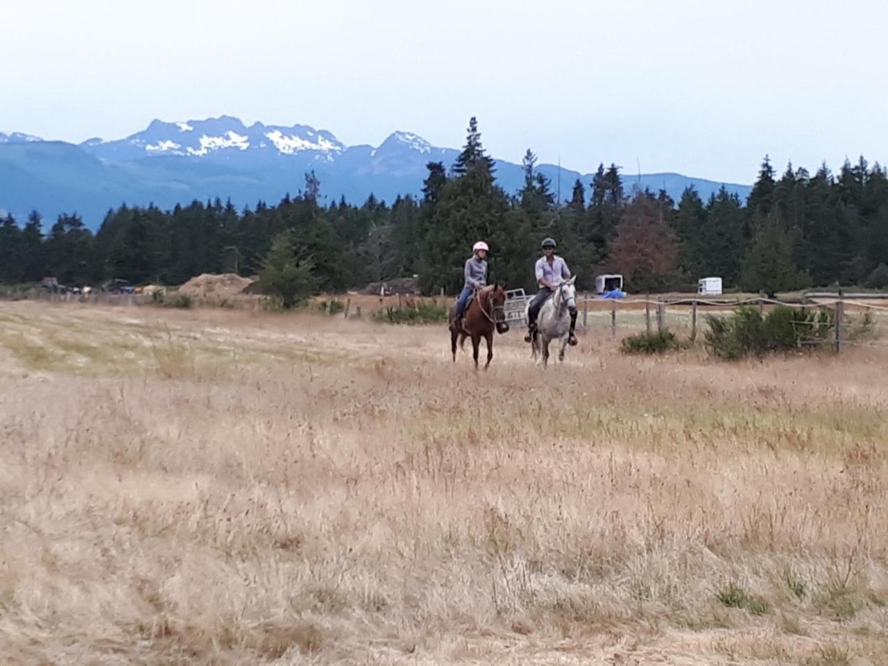 Paradise Acres Ranch Nanoose Bay Esterno foto