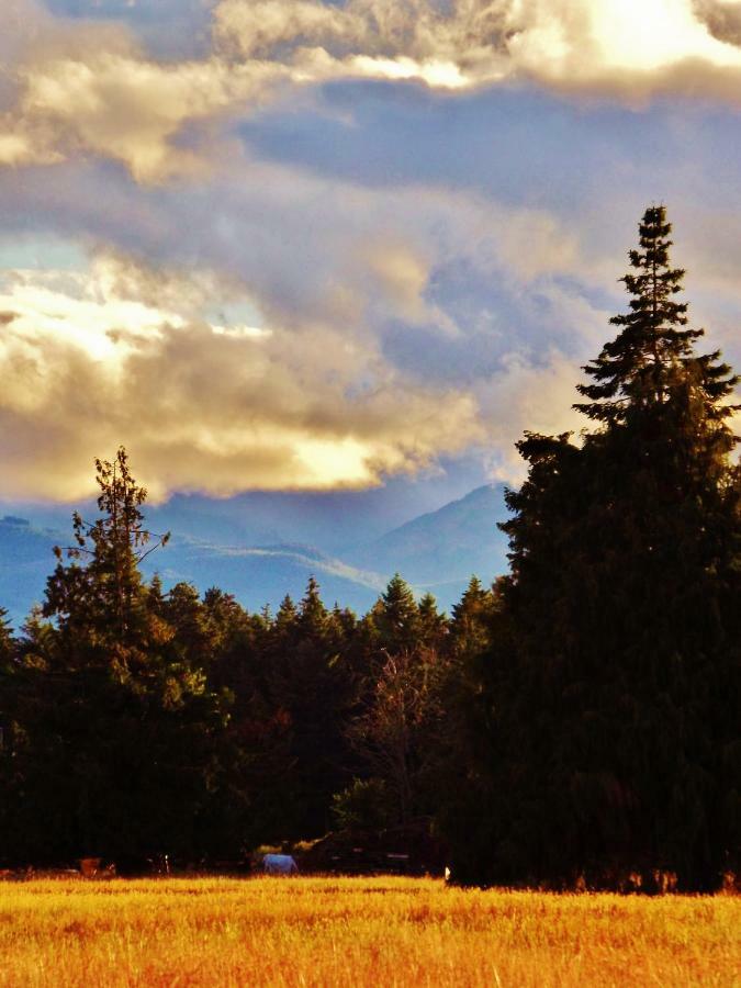 Paradise Acres Ranch Nanoose Bay Esterno foto