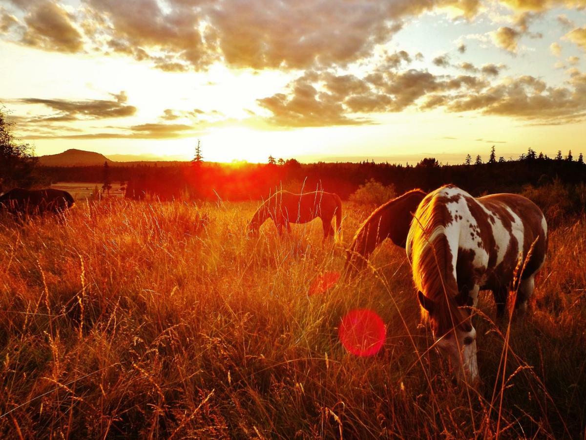 Paradise Acres Ranch Nanoose Bay Esterno foto